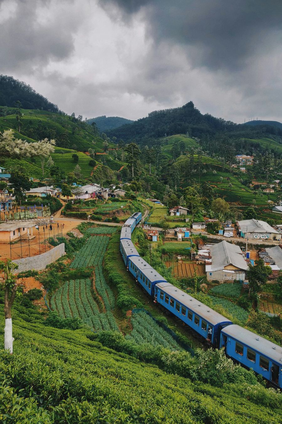 Blue train winding through tea plantations near Nuwara Eliya